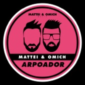 Arpoador (Extended Mix) artwork