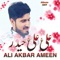 Ali Ali Haider (as) - Ali Akbar Ameen lyrics