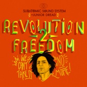 Revolution 2 Freedom - EP artwork