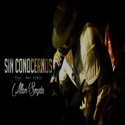 Sin Conocernos (feat. Ray Perez) - Single - Allen Spyda