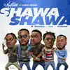 Shawa Shawa (feat. Larry Gaaga, Olamide, CDQ & Slimcase) - Single album lyrics, reviews, download