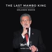 The Last Mambo King artwork