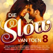 Die Slow Van Toen 8 artwork