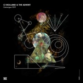 Camargue 2019 (The Advent Remix) artwork