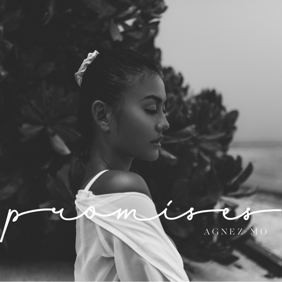 Cover artwork for Promises