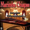 Marimba Chiapas - Dios Nunca Muere