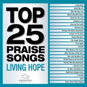 Top 25 Praise Songs - Living Hope artwork