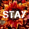 STaY - Single