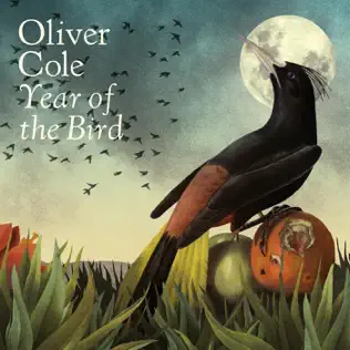 baixar álbum Oliver Cole - Year of the Bird