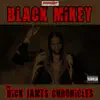 The Bick James Chronicles - Single album lyrics, reviews, download