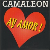 Ay Amor! artwork