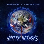 United Nations (feat. Korede Bello) artwork