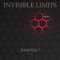Pour Un Ami - Invisible Limits lyrics