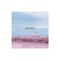 Sky Harbor - Proper Pet lyrics