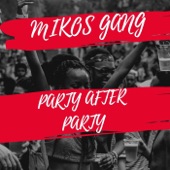 Party After Party artwork