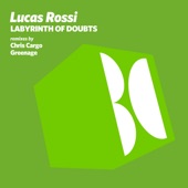 Labyrinth of Doubts (Chris Cargo Remix) artwork