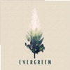 Evergreen - Single