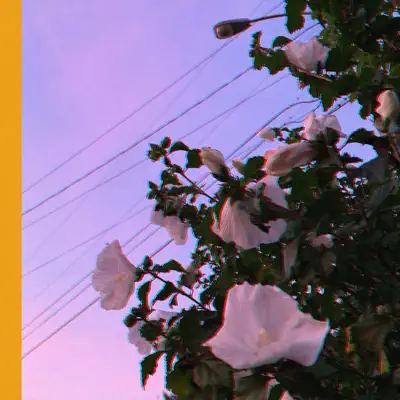 Over Now - Single - Dominic