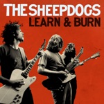 The Sheepdogs - please don't lead me on