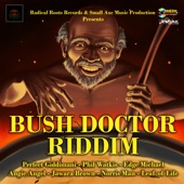 Bush Doctor Riddim artwork