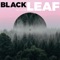 Black Leaf - Nic Letcher lyrics