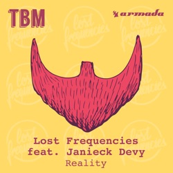 Lost Frequencies - Reality (feat. Janieck Devy)
