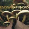 Laetiporus Sulphureus - Endgame lyrics