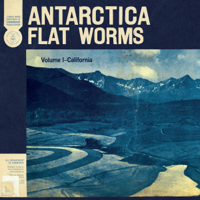 Flat Worms - Antarctica artwork