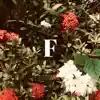 F (feat. Ashley Miears & DY) - Single album lyrics, reviews, download