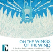 On the Wings of the Wind artwork
