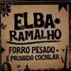 Forró Pesado / É Proibido Cochilar (ao Vivo) - Single album lyrics, reviews, download