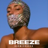 Breeze - Single, 2019
