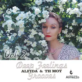 Deep Feelings Grooves, Vol. 2 (Unmixed Tracks) by Alfida & TH Moy album reviews, ratings, credits