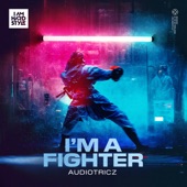 I'm a Fighter (Extended Mix) artwork