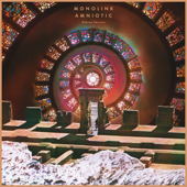 Amniotic (Deluxe Version) - Monolink