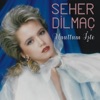 Seher Dilmaç - Gelmedin