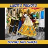 Luizito peixoto - A Porta do Coração