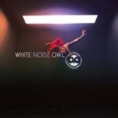 White Noise Owl - Maybe Its Time