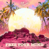 Free Your Mind (feat. Jennifer Hartswick) artwork