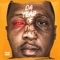 All Falls Down - Young Chris lyrics