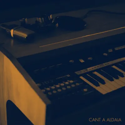 Cant a Aldaia (Directe a Malamute) (feat. Hèctor Serra) - Single - Novembre Elèctric