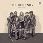 The Demands - Checkin' Time