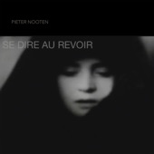 Se Dire Au Revoir artwork