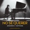 No Sé Querer artwork