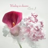 Wading in Dreams - Single