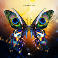 Tritonal - U & Me artwork