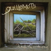 Guillemots - Little Bear