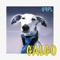 Galgo - Gppl lyrics