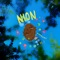 Fallacy - Nion lyrics
