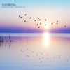 Daybreak - Single